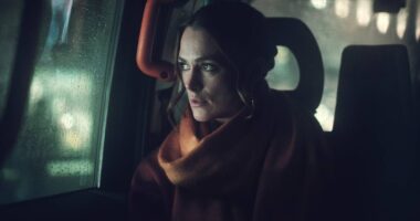 The Perfect 92% Rotten Tomatoes Christmas Thriller on Netflix