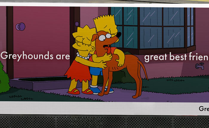 The Simpsons Back New Zealand’s Biggest Dog Rehoming