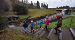 The record-breaking Christmas tree visitors are flocking to see