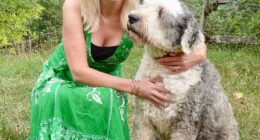 Samantha Brick with her Old English Sheepdog Indy, the first of her seven dogs to have died in the last three years