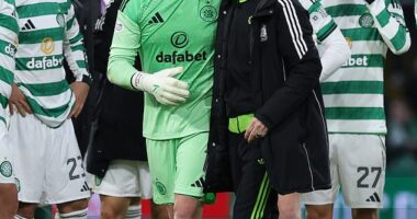 Martin O'Neill returned to Celtic as interim manager and helped calm things down to a degree before he left - but has appealed for peace to break out between the board and fans