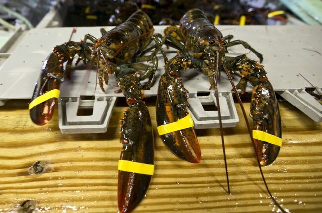 Thieves Claw $400K Shipment From Costco's Clutches – RedState