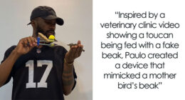 This Guy Went Viral After Rescuing A Great Kiskadee And Building A Mini Bird “Mom” For Him