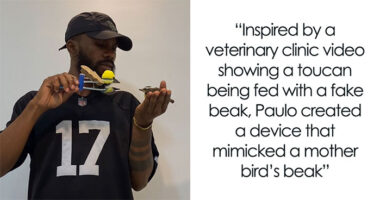 This Guy Went Viral After Rescuing A Great Kiskadee And Building A Mini Bird “Mom” For Him