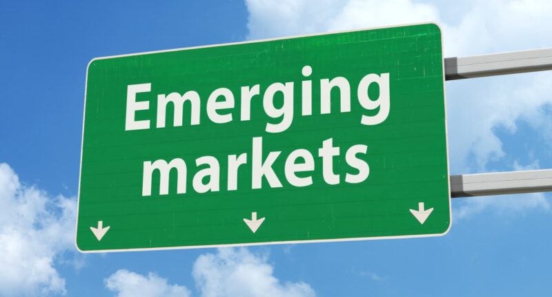 This top-performing emerging-markets fund manager says his asset class can be an AI play too