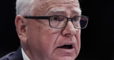 Tim Walz Called Out Over Viral Video of MN Daycare Tied to Millions With No Kids and a Misspelled Sign – RedState