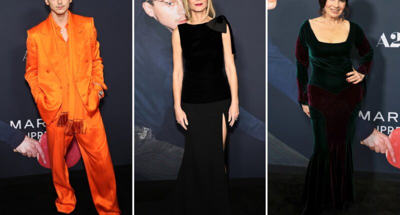 Timothée Chalamet, Gwyneth Paltrow, Fran Drescher, and more