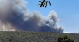 A bushfire emergency warning was put in place on Thursday for people at Boddington Gold Mine and in the area east and south of the mine, including Bannister and Wuraming