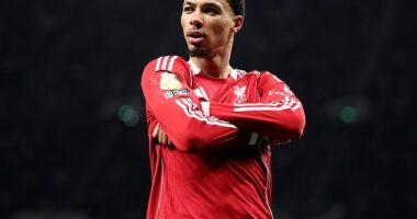 Tottenham 1-2 Liverpool: Reds survive late scare against nine men as Thomas Frank is let down by frustrating ill discipline - and Alexander Isak will be cursing his luck after an injury that could wreck his season