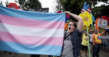 Trans Woman Found Guilty of Child Abuse, Claims Jury Was 'Hypnotized' – HotAir