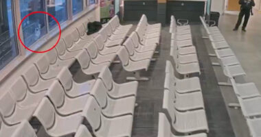 Trooper, Suspect Dead in Shooting at Delaware DMV