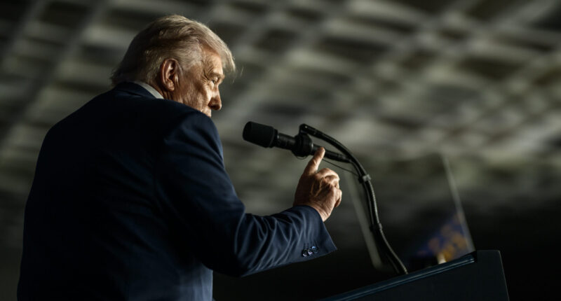 Trump Admin Fears NATO Allies Will Become Disloyal Partners as Mass Migration Turns Them 'Majority Non-European.'