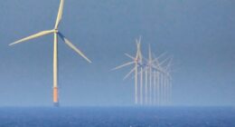 Trump Suspends Offshore Wind Leases, Citing National Security Concerns.
