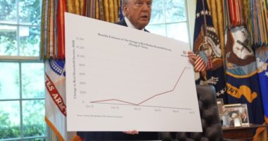 Trump Tells Cabinet, Democrats' Use of the Word 'Affordability' Is a Con Job – RedState