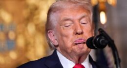 Trump complains about Epstein files distracting from his agenda as DOJ comes under fire over limited release