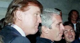 Trump mentions in Epstein files are 'untrue' and 'sensationalist', DOJ says as 30,000 documents are released: Live updates