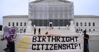 Trump’s bid to end birthright citizenship to be heard by top court