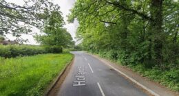 The fatal crash happened on Holland Road in Hurst Green, Surrey