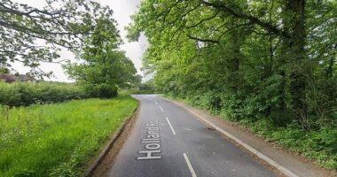 The fatal crash happened on Holland Road in Hurst Green, Surrey