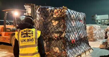 UK Aid Used to Fund Kenyan Sex Chatbot.