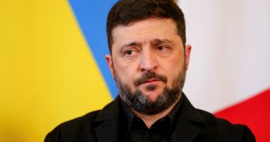Ukraine-Russia war latest: Kyiv ‘responds to US peace plan’ as Trump ramps up pressure on Zelensky
