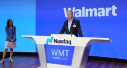 Walmart was too late for a Nasdaq-100 spot — but these 6 stocks made the cut