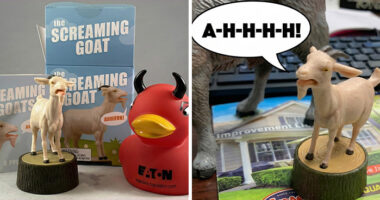 We Bravely Entered The Mind Of A 12-Year-Old And These Are The 26 Gifts They Actually Want