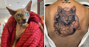 We Turned Memories Of People’s Pets Into Tattoos, Beautiful Tributes That Say What Words Can’t (22 Pics)
