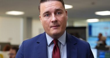 Wes Streeting (pictured) has suggested Sir Keir Starmer must go further to undo Brexit