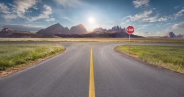 What happens when a career-change expert has to reimagine her own career?