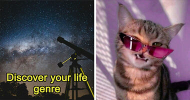 “What’s Your Life’s Genre?” Discover Whether You’re Living A Mystery Or A Comedy