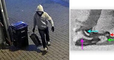 Who Is Brian Cole, Suspect in the DC Pipe Bomb Case? – HotAir