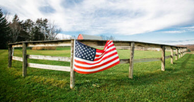 Why Trump’s new $12 billion farm aid package is just a Band-Aid for struggling soybean growers