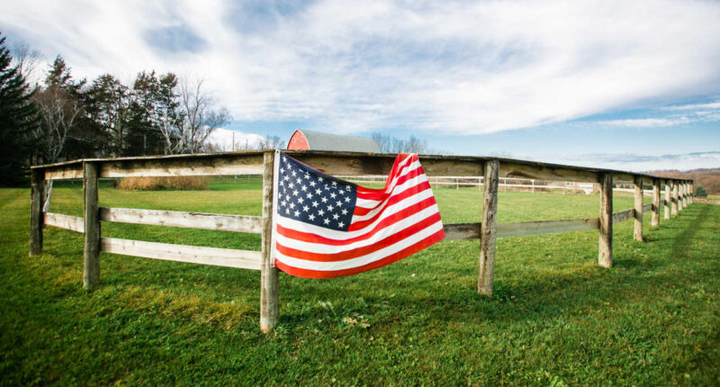 Why Trump’s new $12 billion farm aid package is just a Band-Aid for struggling soybean growers