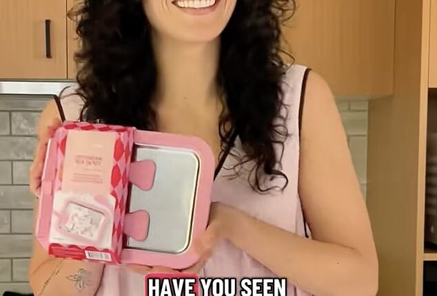 Customers can bring the store straight to your kitchen with the Ice Cream Mix in Kit