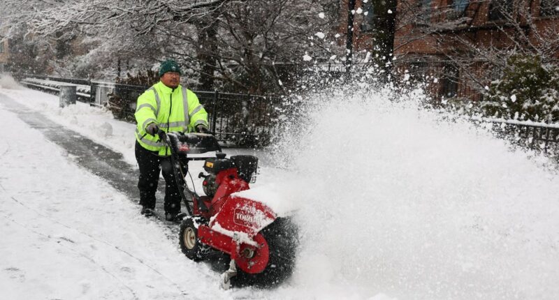 Winter storm brings travel chaos to Northeast with flights halted at airports