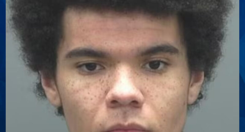 Wisconsin Man Charged With Stabbing 8-Year-Old Sister to Death Found Competent to Stand Trial