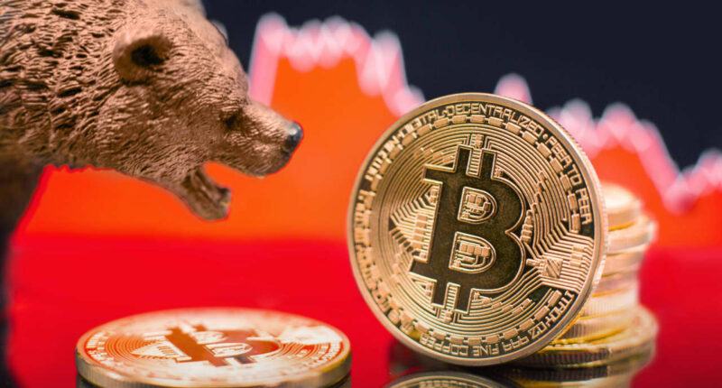 With bitcoin down to around $90,000, should you rethink how much crypto to own? Here’s what experts say.