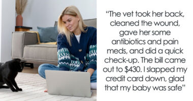 Woman Spends $430 On Injured Cat, Only To Realize Later It’s A Look-Alike Imposter, Not Her Pet