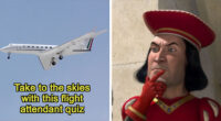 “Would You Make A Good Flight Attendant?”: 28 Questions To Test Your Eligibility