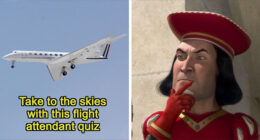 “Would You Make A Good Flight Attendant?”: 28 Questions To Test Your Eligibility