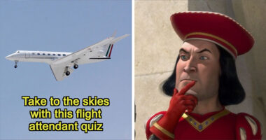 “Would You Make A Good Flight Attendant?”: 28 Questions To Test Your Eligibility