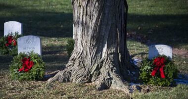 Wreaths Across America Continues Its Mission to Remember, Honor, and Teach – RedState