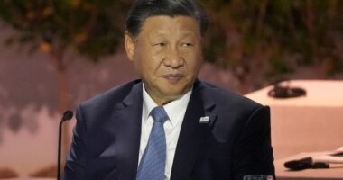 Yet ANOTHER Chinese Graduate Student Caught Smuggling Biological Agents Into US – HotAir