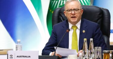 You Must Give Up Your Freedom for Multiculturalism – HotAir