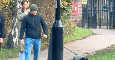 Zendaya and her fiancé Tom Holland headed out for a walk in Richmond Park as they prepare to spend Christmas with his family