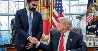 Zohran Mamdani has called for World Cup ticket prices in the US to fall for next year's event