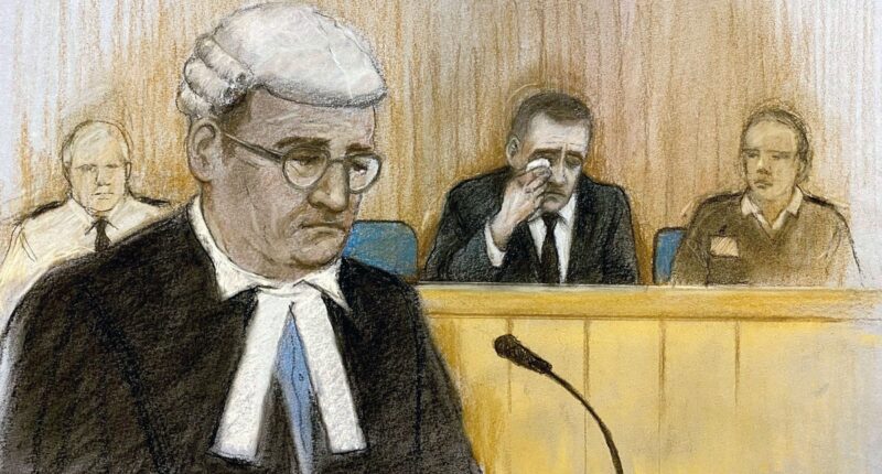 ‘Enraged’ ex-Royal Marine deployed his car as a weapon to drive into crowds at Liverpool parade, court hears