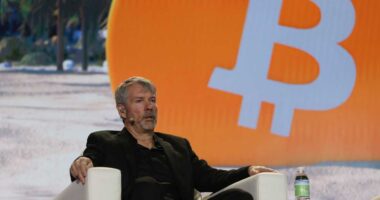 ‘He almost has to keep buying’: Why Michael Saylor’s Strategy is doubling down on bitcoin.