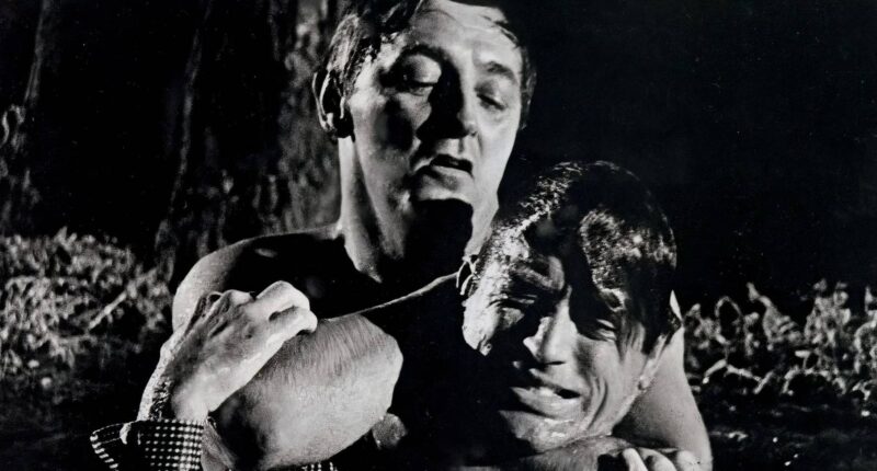 10 Movies From 1962 That Are Now Considered Classics